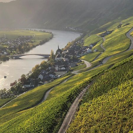 Weingut Lehnert-Spaeter Piesport Ngoại thất bức ảnh