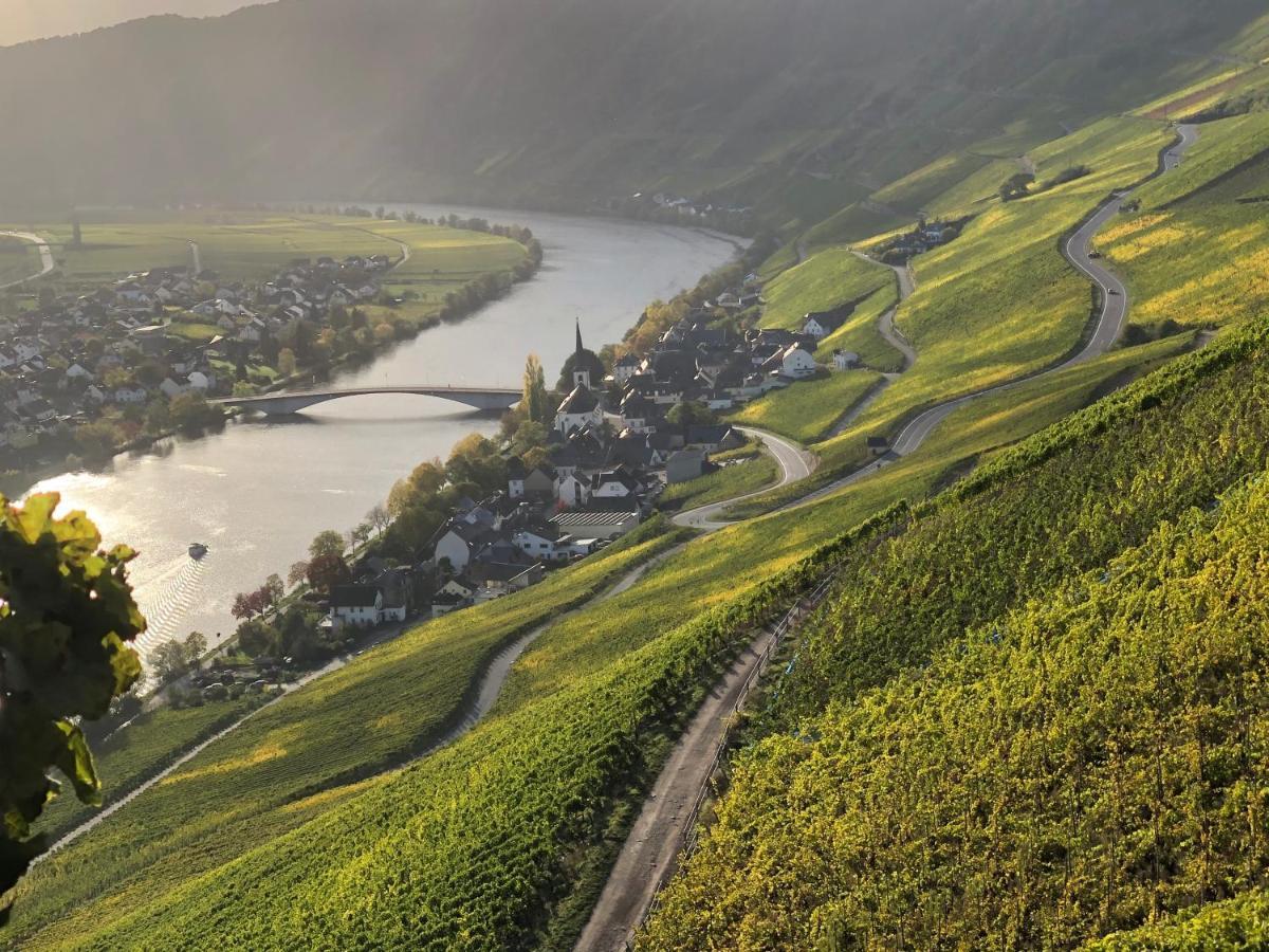 Weingut Lehnert-Spaeter Piesport Ngoại thất bức ảnh